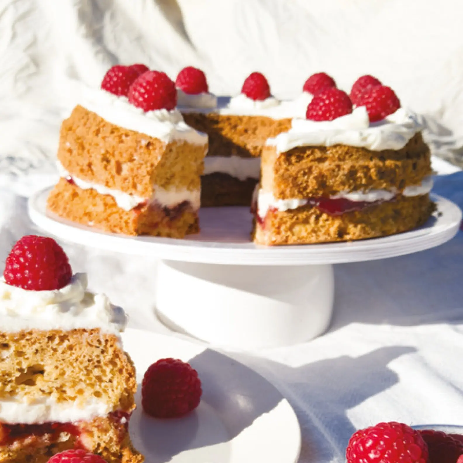 Mehrstufige Kuchen-Torte mit goldbraunem Kuchenboden, weißen Creme-Schichten, roter Himbeerfüllung und Garnitur aus frischen Himbeeren auf einem Teller