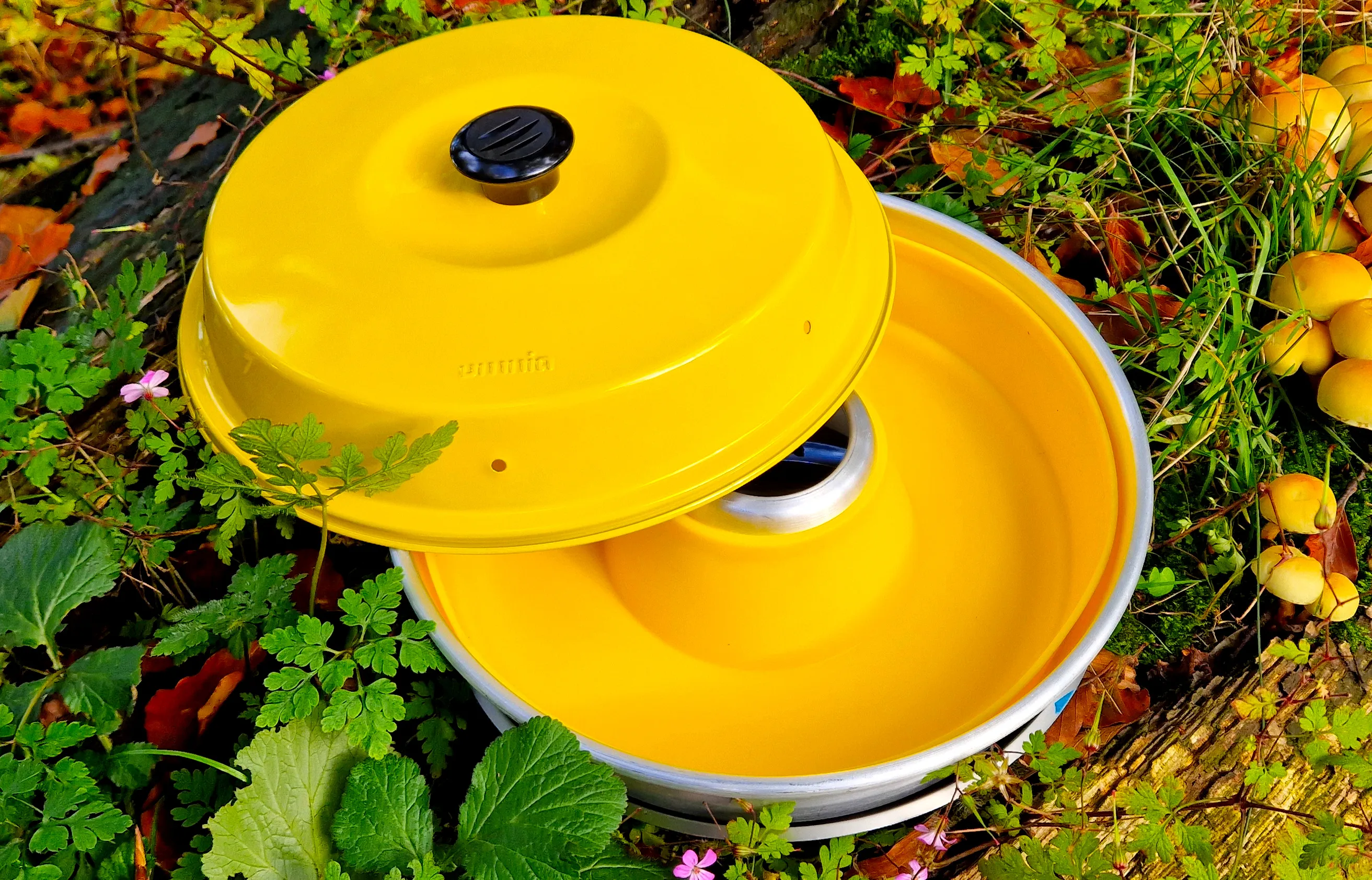 Gelbe runde Silikonform mit Deckel und schwarzem Griff, im Freien auf Moos und zwischen Herbstlaub liegend