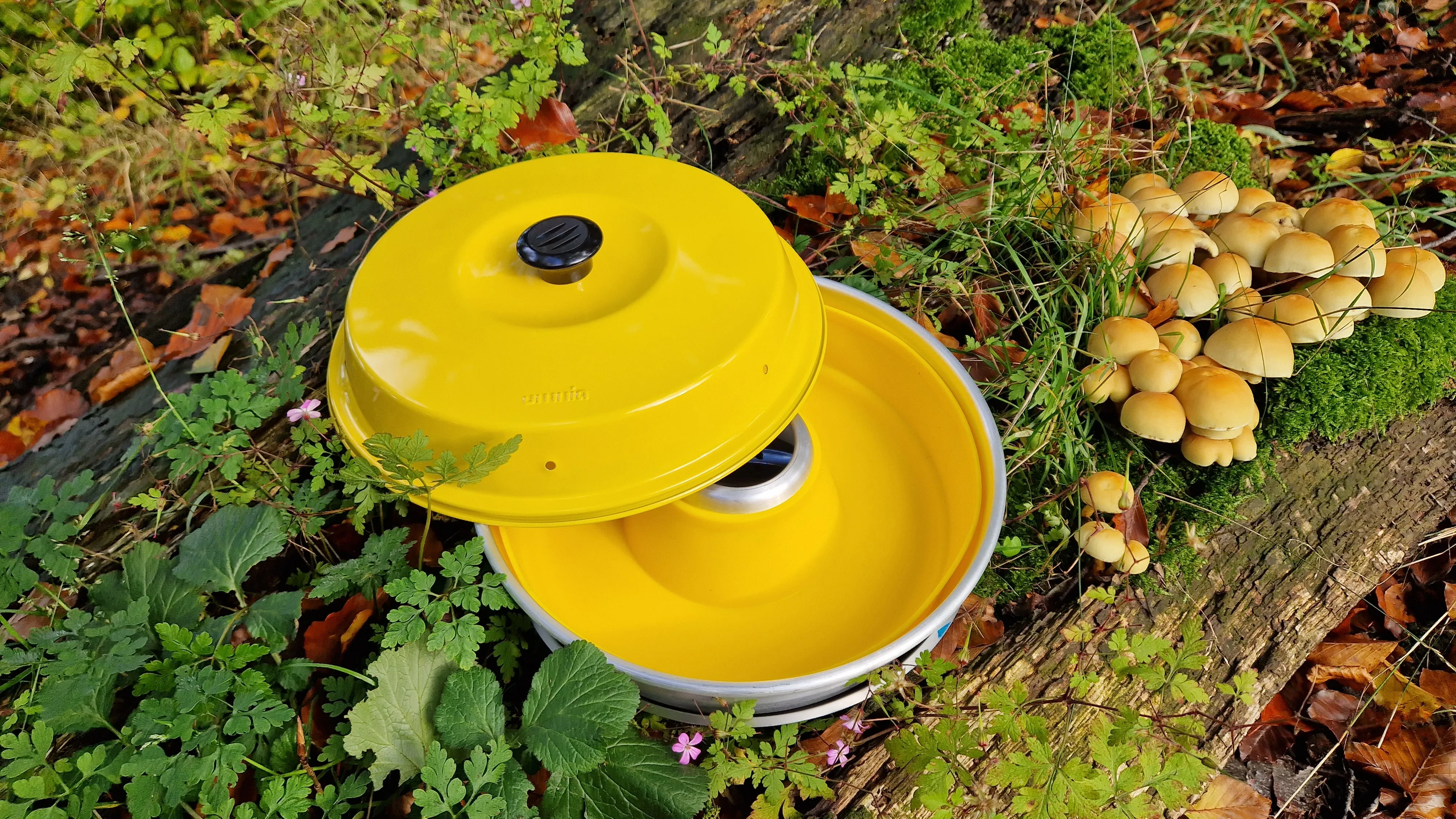Gelber runder Deckel mit schwarzem Knauf, teilweise auf einem gelben Behälter im Wald mit Laub, Moos und Pilzen liegend