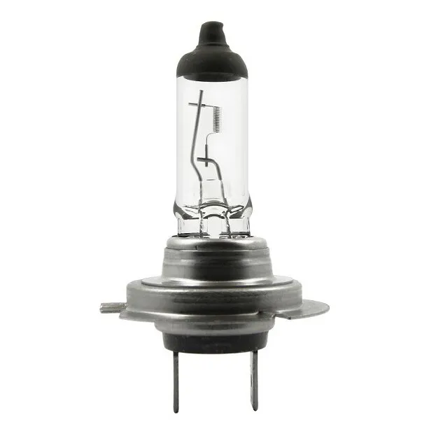 Klare Halogenlampe mit transparentem Glaskolben, Metallreflektor und PX26d-Sockel vor weißem Hintergrund
