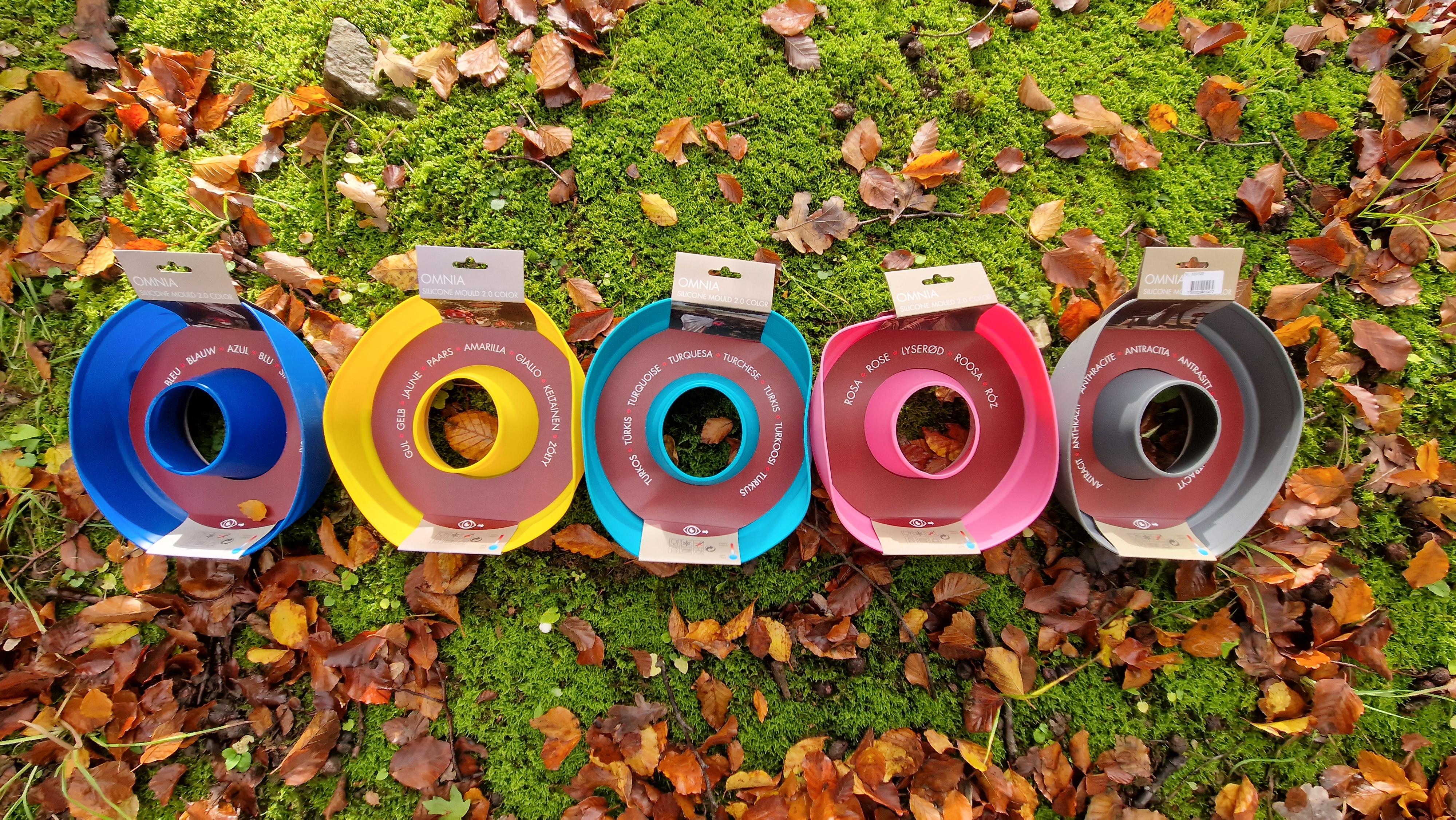 Mehrfarbige runde Silikonformen mit zentralem Loch, blau, gelb, türkis, pink, liegen auf Moos und Herbstlaub im Freien