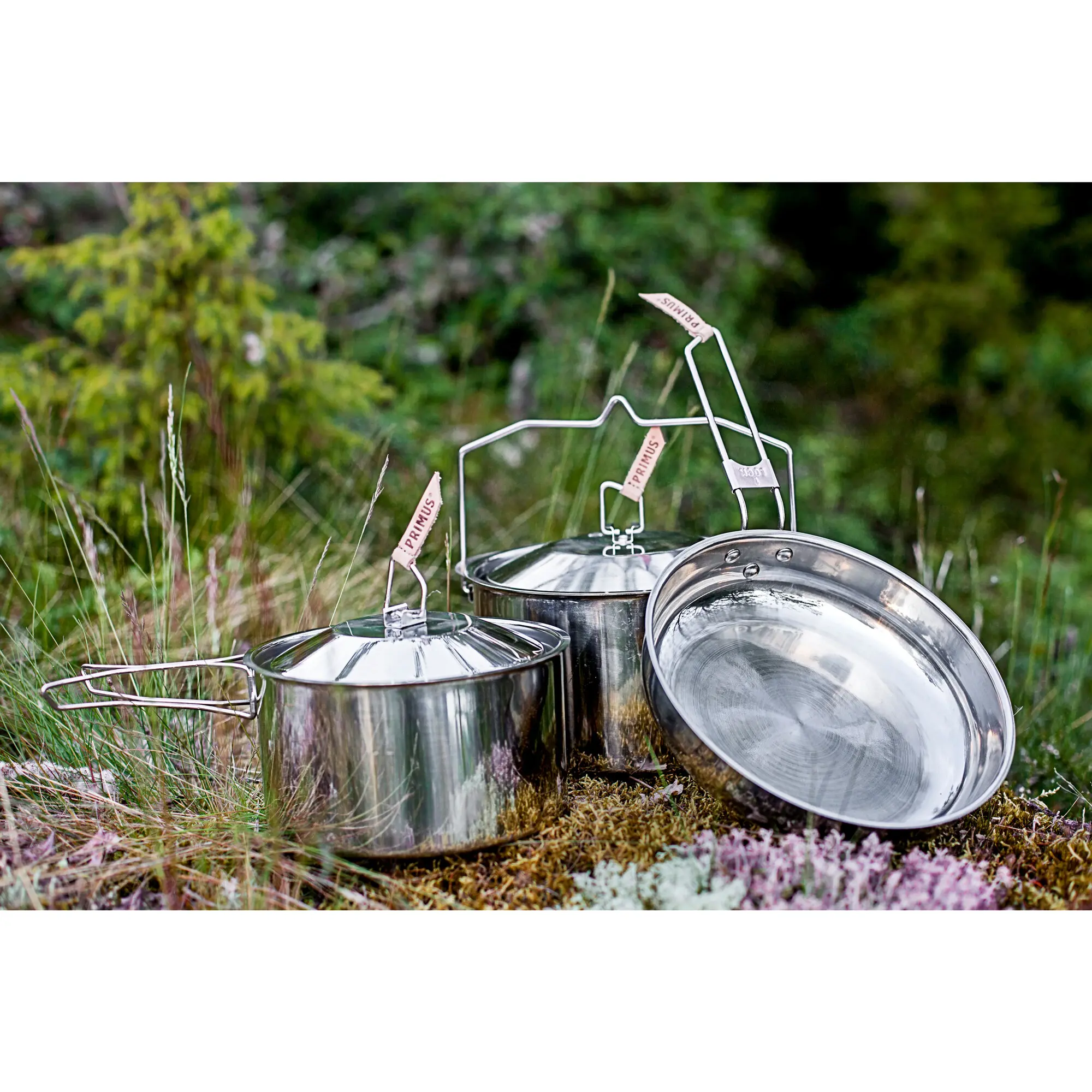 Kochtopf-Set Campfire, L aus Edelstahl mit Deckeln und Drahtgriffen, mehrere Töpfe stehen im Gras einer Outdoor-Szene, grüne Pflanzen im Hintergrund