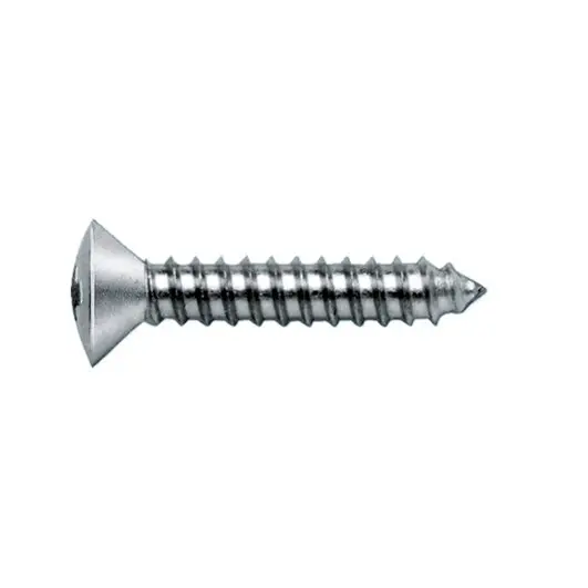 Linsensenk-Blechschraube Form C mit Kreuzschlitz H, 3,9 x 19