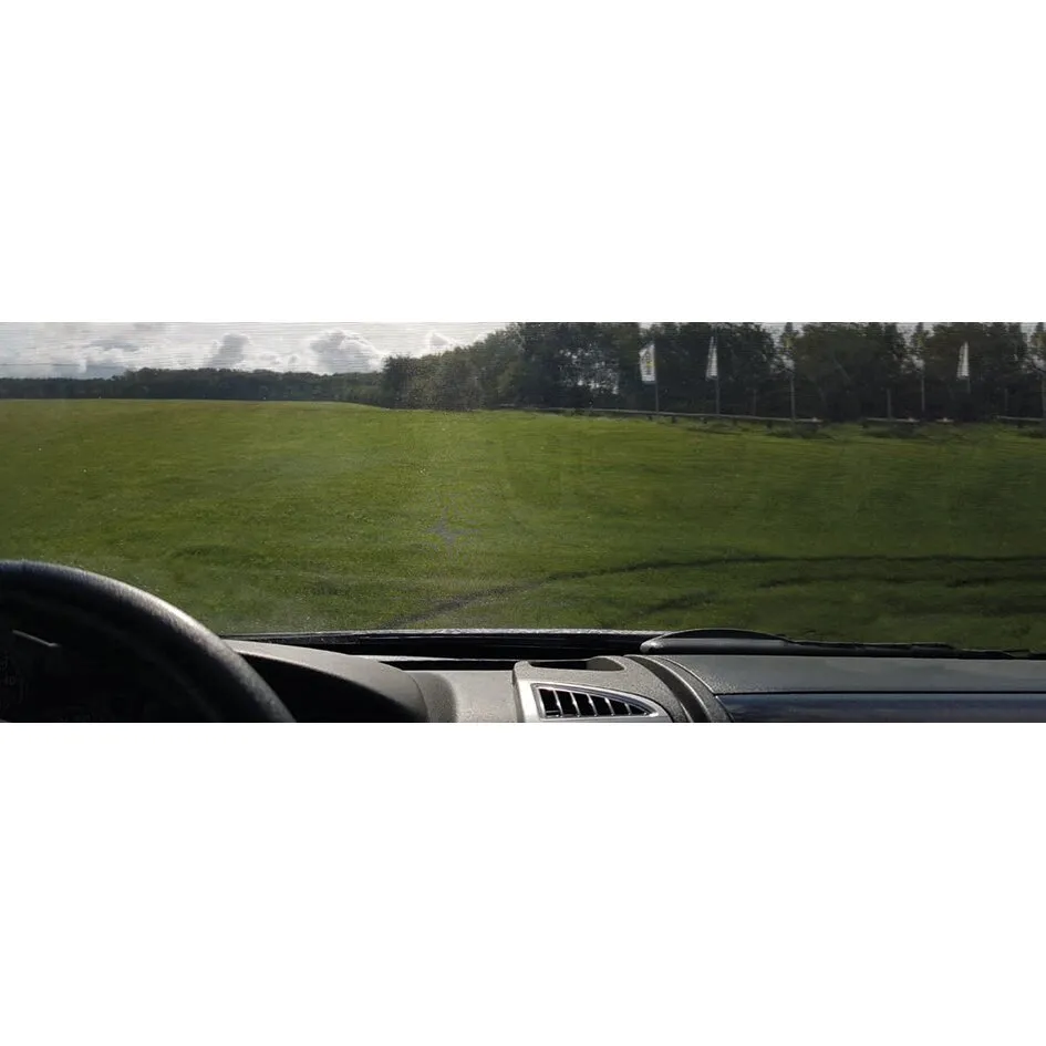 Blick durch die mit der Fahrerhaus-Sommermatte Sun Breaker Light beschattete Windschutzscheibe auf eine grüne Wiese
