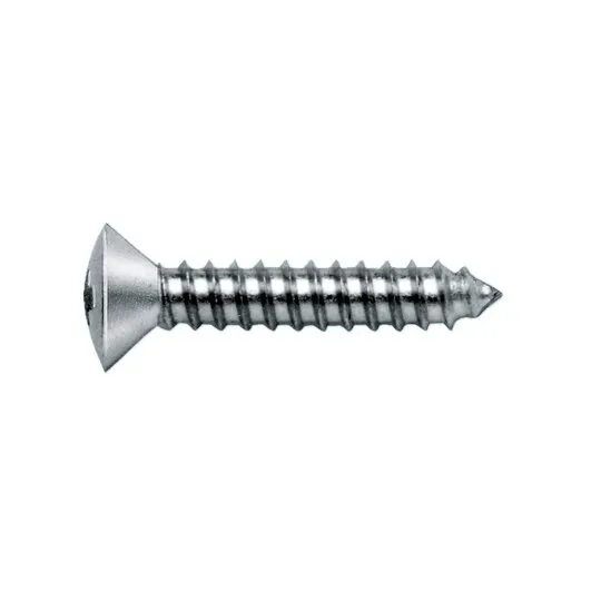 Silberne Linsensenk-Blechschraube Form C mit Kreuzschlitz H und spitzem Gewinde, 2,9 x 13 mm, Seitenansicht