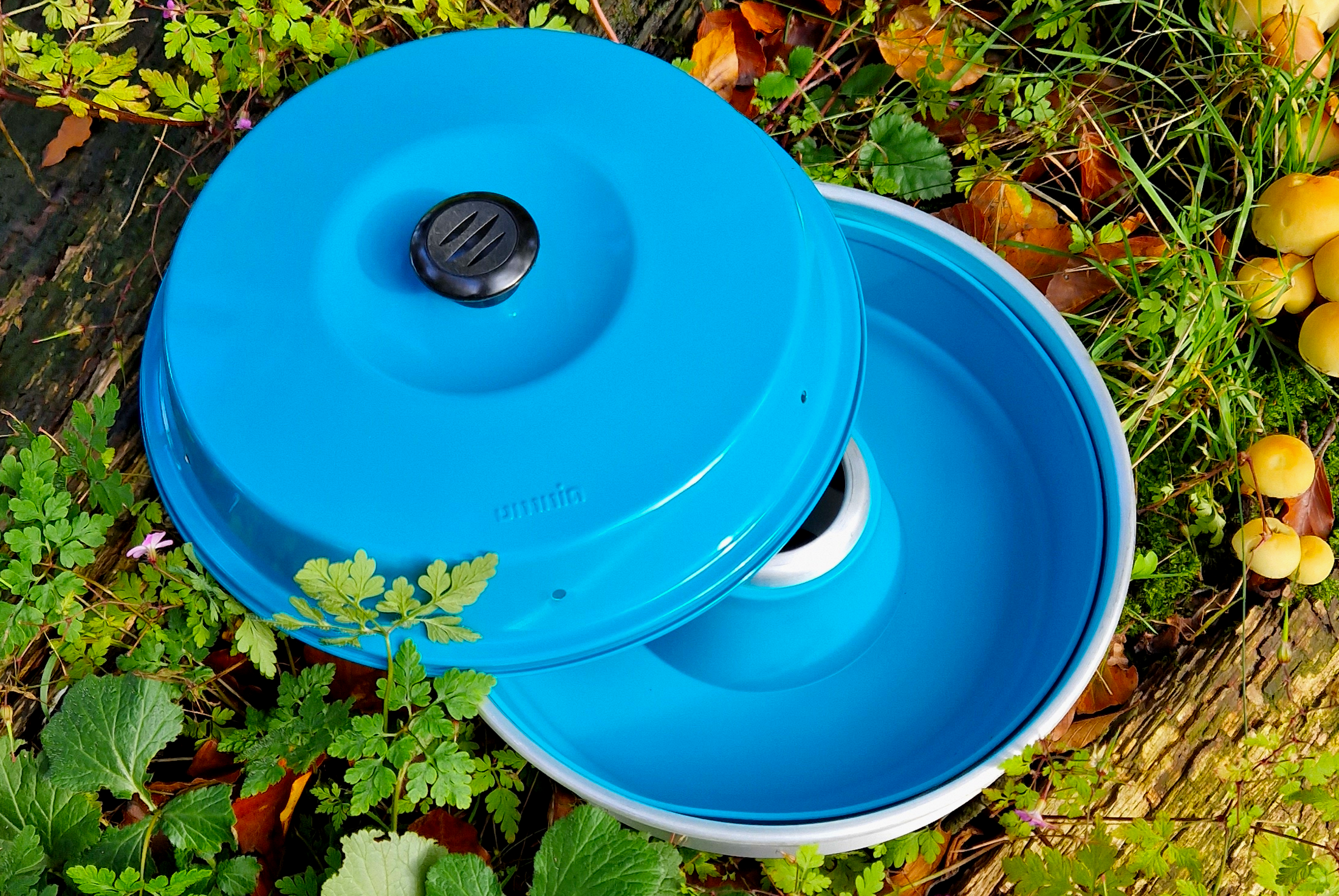 Runde türkisfarbene Silikonform mit Deckel und schwarzem Griffknopf, liegend auf einem zweiten blauen Behälter, umgeben von Gras, Blättern und gelben Früchten