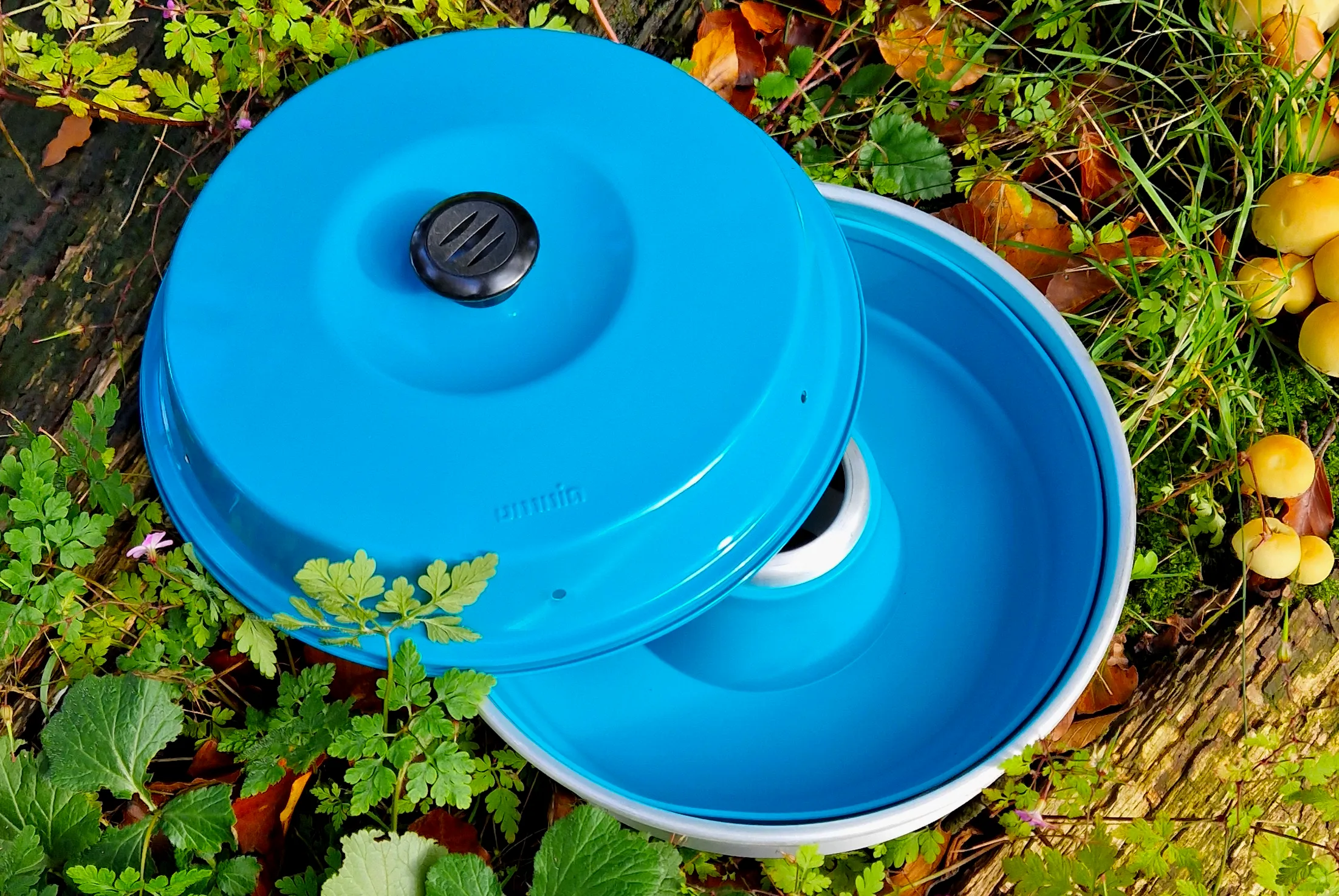Runde türkisfarbene Silikonform mit Deckel und schwarzem Griffknopf, liegend auf einem zweiten blauen Behälter, umgeben von Gras, Blättern und gelben Früchten