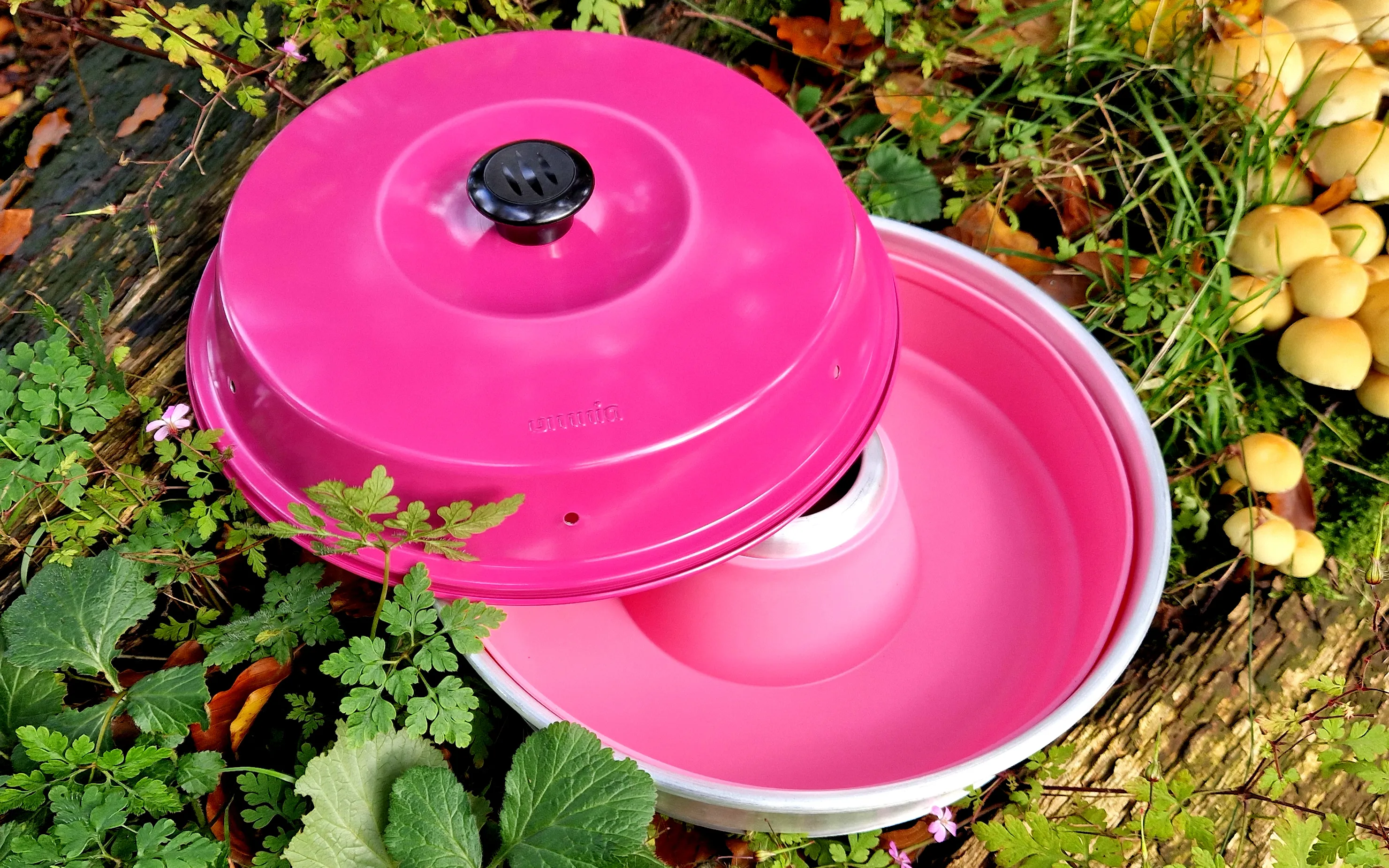 Runde pinke Silikonform mit passendem Deckel und schwarzem Knauf, übereinanderliegend inmitten von Grünpflanzen und Pilzen
