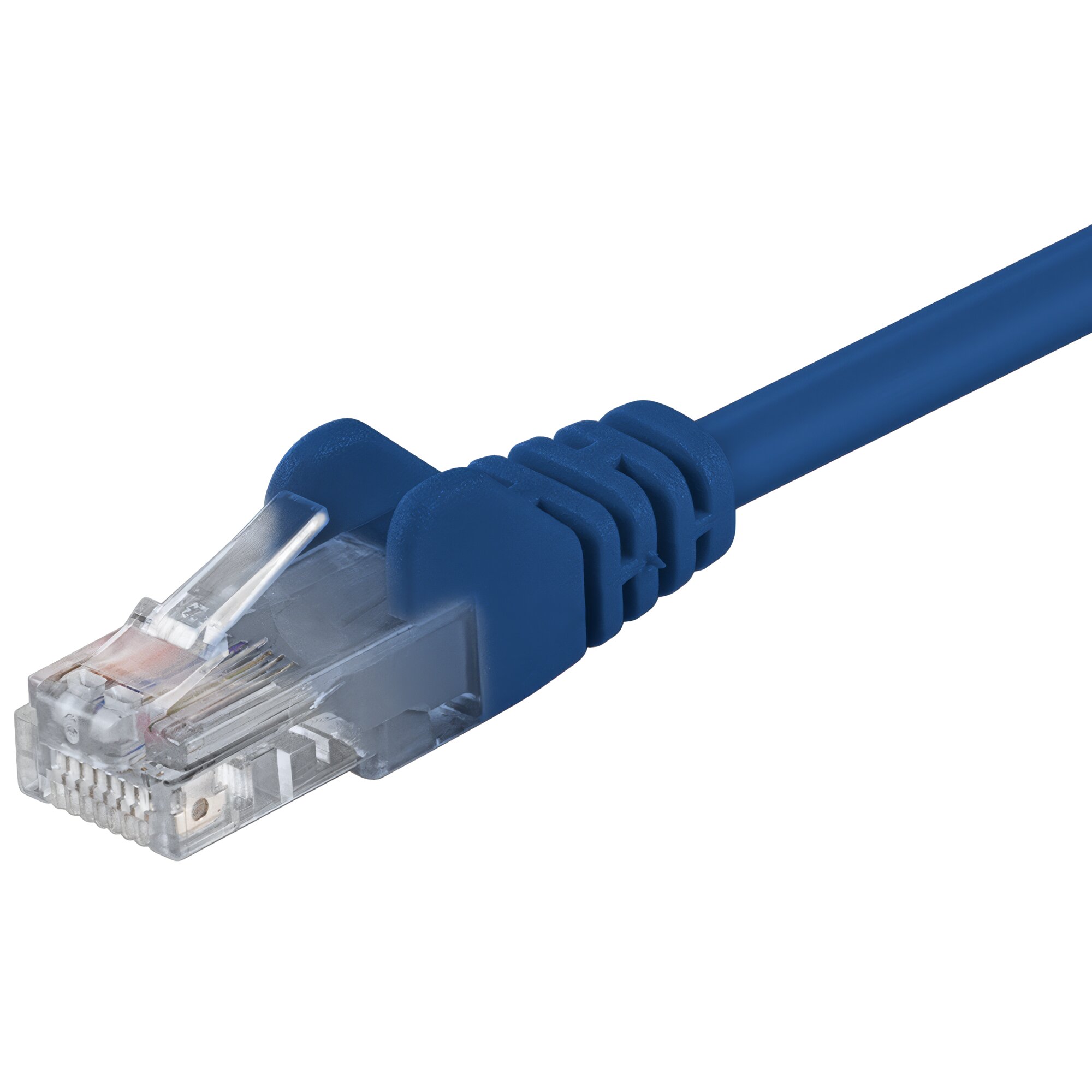 Nahaufnahme eines blauen RJ45-Patchkabels mit transparentem Stecker und sichtbaren Kontakten, U/UTP, 1 m