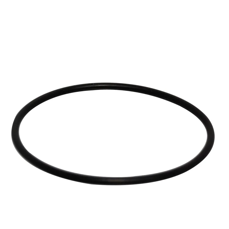 Schwarzer, runder O-Ring aus elastischem Dichtungsmaterial für Schieber, freigestellt auf weißem Hintergrund