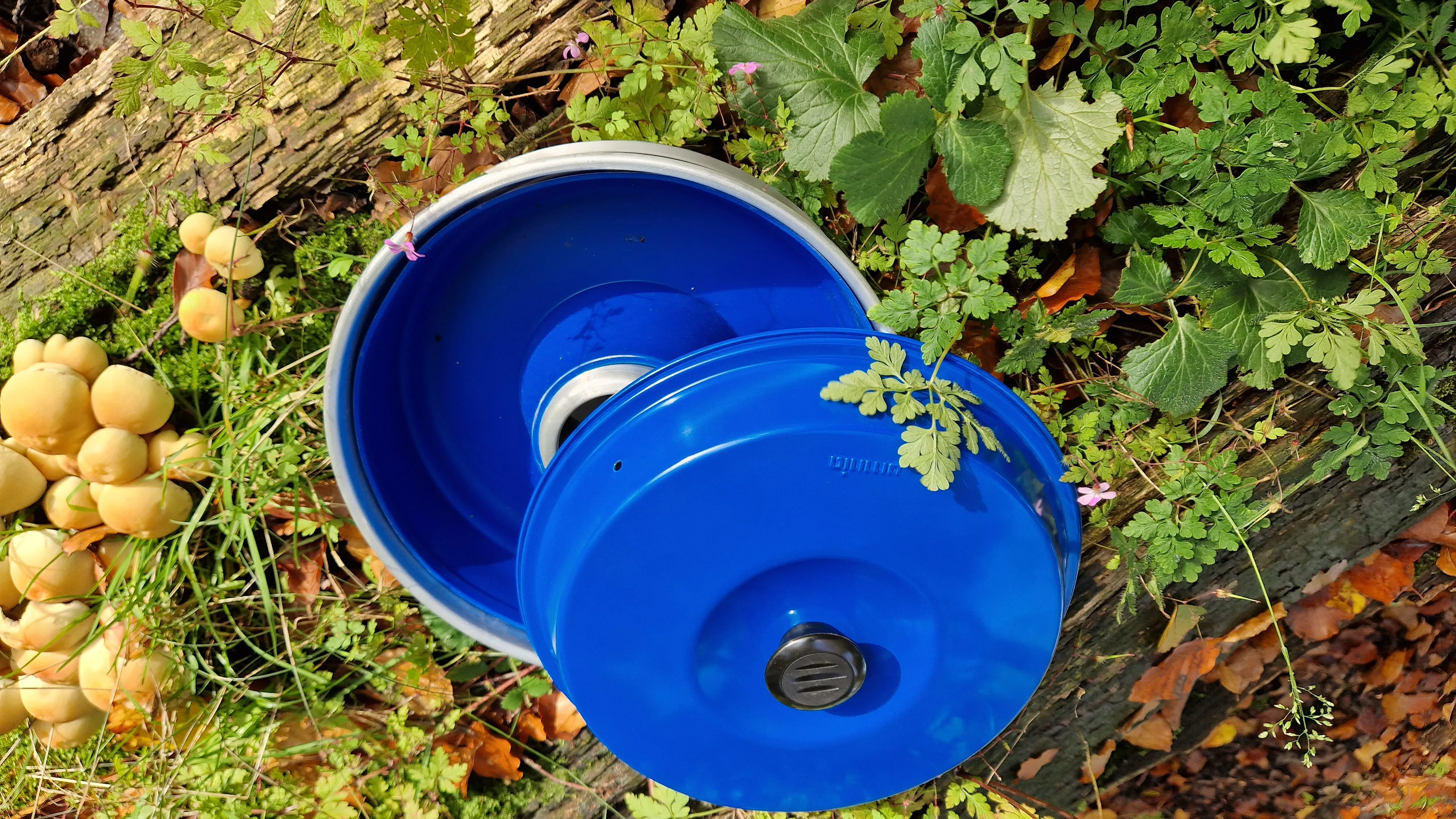 Blauer, runder Deckel mit schwarzem Lüftungsverschluss auf einem blauen Behälter im Gartencuntegn