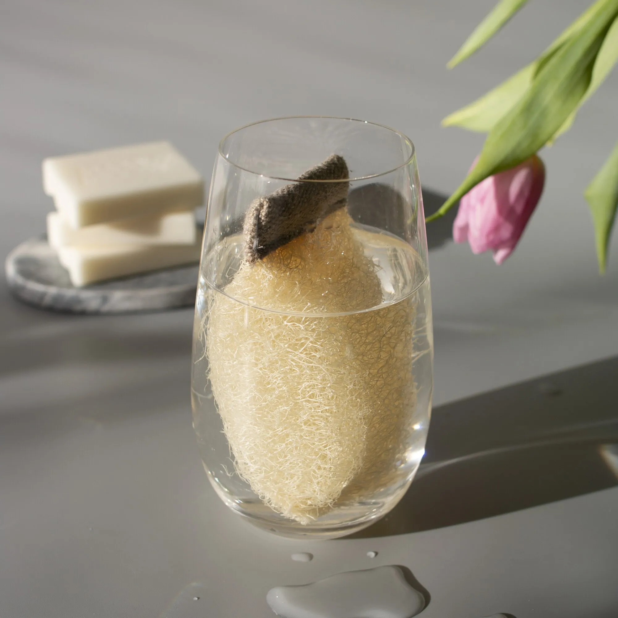 Clearo Luffa-Schwamm als natürliche Ablage für einen festen Reiniger in einem Glas, daneben zwei feste Seifenstücke und eine Tulpe