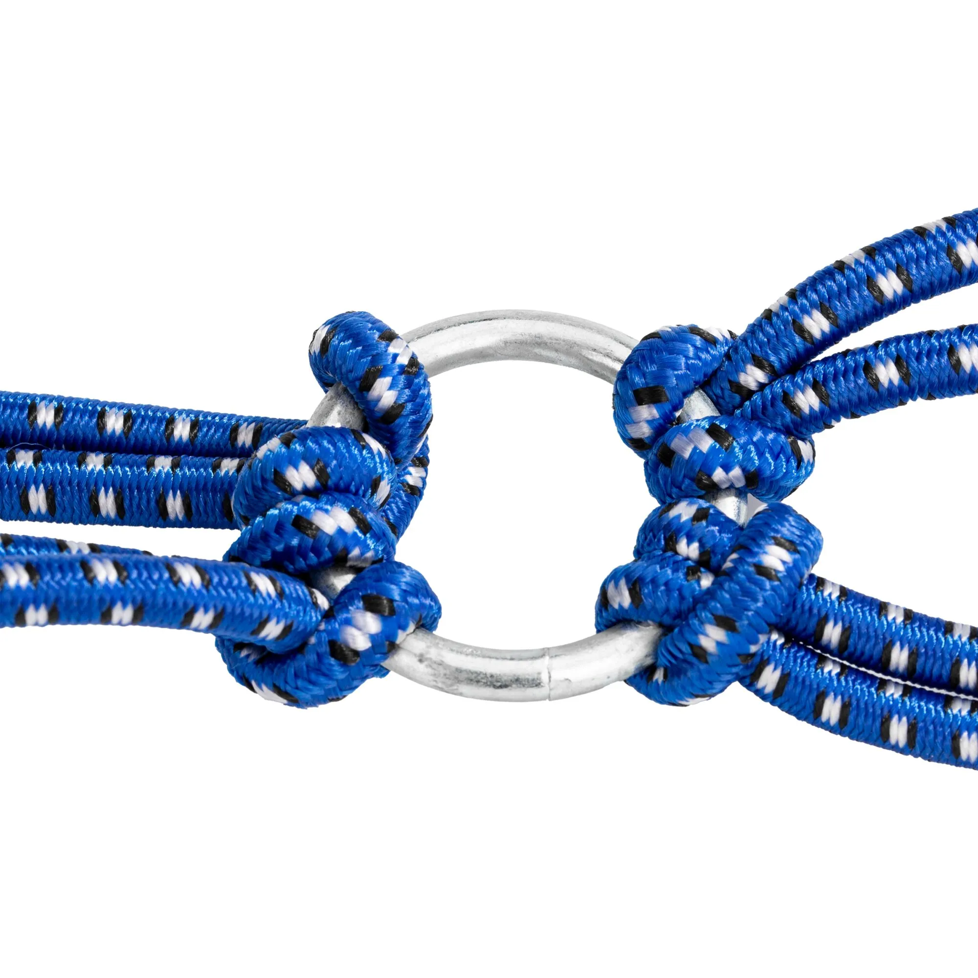 Detailaufnahme einer blauen Gepäckspinne mit schwarzem und weißem Muster sowie silbernem Metallring und mehreren elastischen Seilarmen