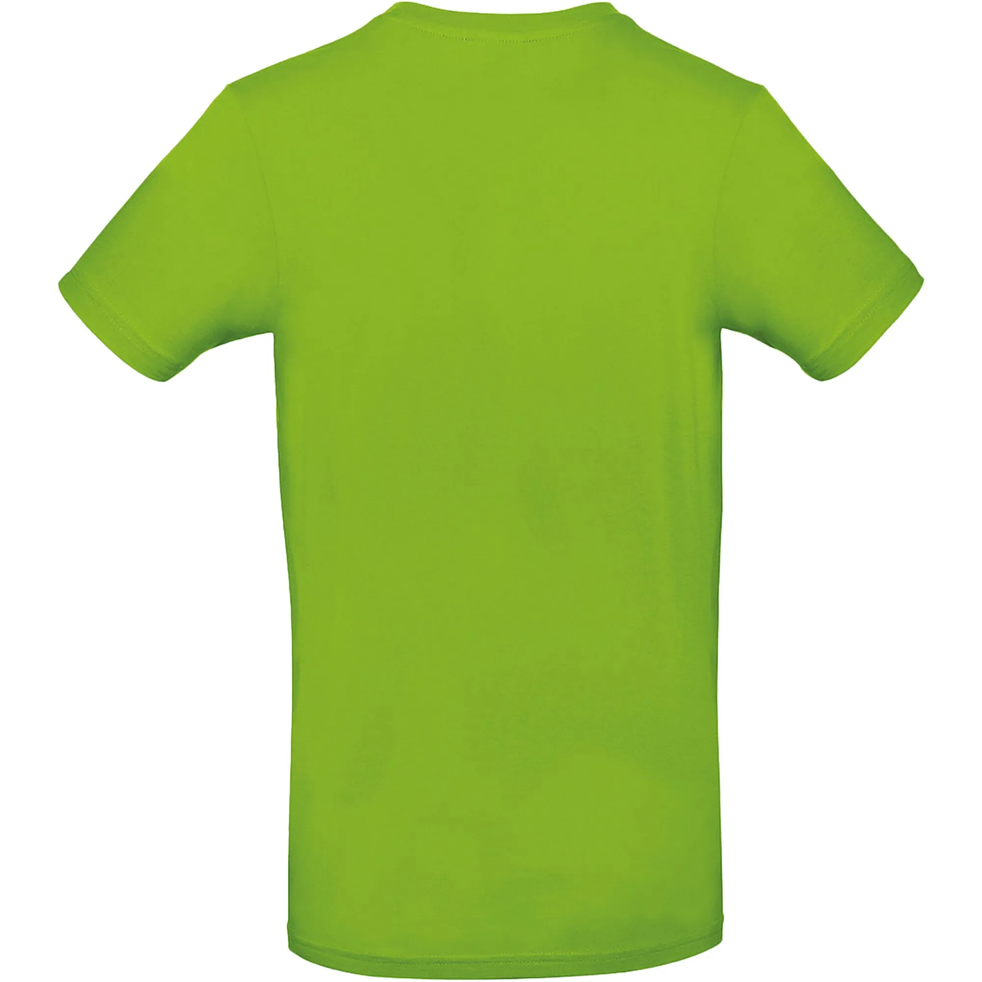 Apfelgrünes T-Shirt mit Rundhalsausschnitt und kurzen Ärmeln, Vorderseite ohne sichtbaren Aufdruck, Größe 3XL