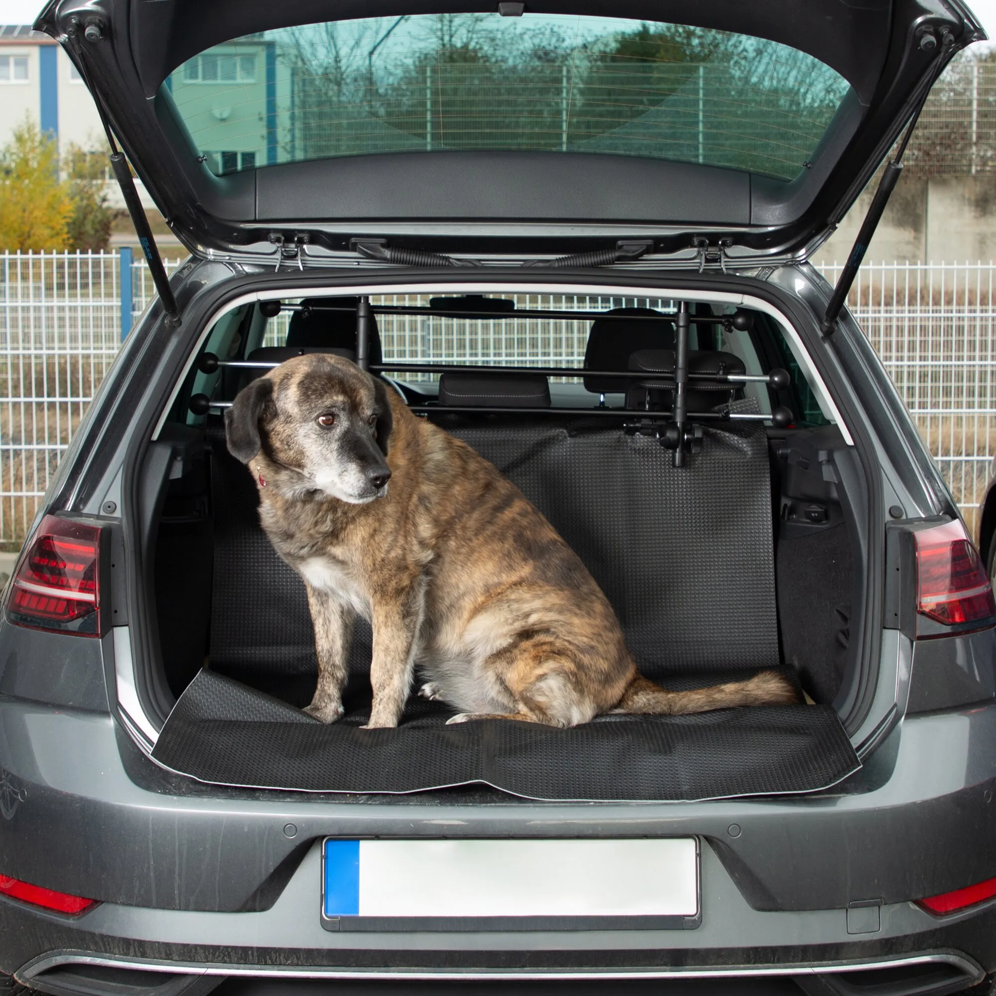 Schwarze Kofferraum- und Schmutzfangmatte im geöffneten Fahrzeug mit sitzendem Hund als Anwendungssituation